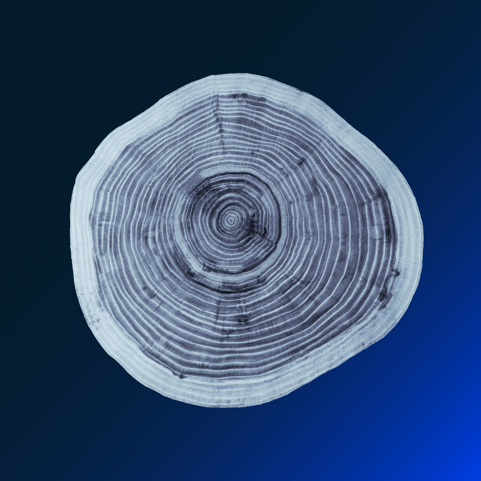 Southern Vanguard Insurance Company / Loss Run Request